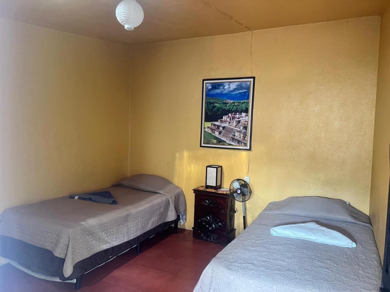 Hotel Alma Maya Antigua Εξωτερικό φωτογραφία
